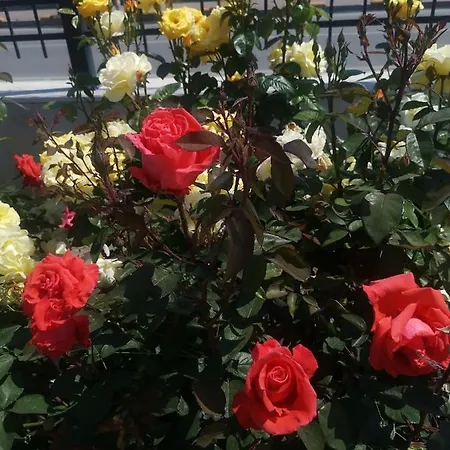 Apartament Luxury Amalfi 300 M From The *